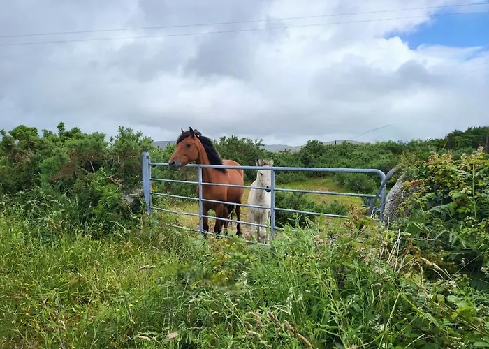 Дом отдыха Cheerful And Spacious 4-bedroom *