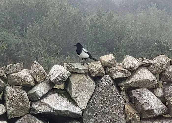 Cheerful And Spacious 4-bedroom Rosmuck