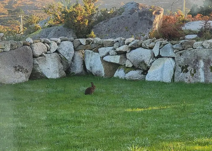 Cheerful And Spacious 4-bedroom Hébergement de vacances